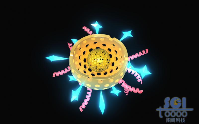 帶二分之一切口的雙層介孔球/硅球/DOX外修飾肽鏈/星形結(jié)構(gòu)分子