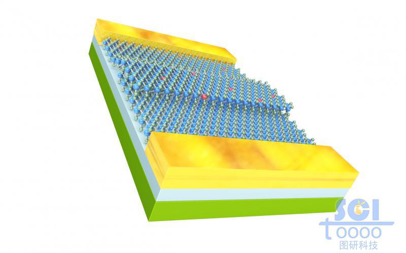 有雜質(zhì)摻雜的MoS2二硫化鉬結(jié)構(gòu)形成的電極