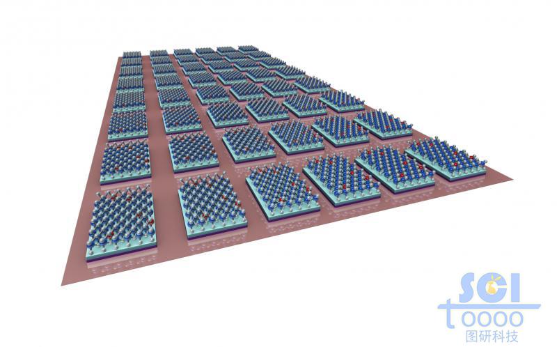 二硫化鉬MoS2陣列形成的電極