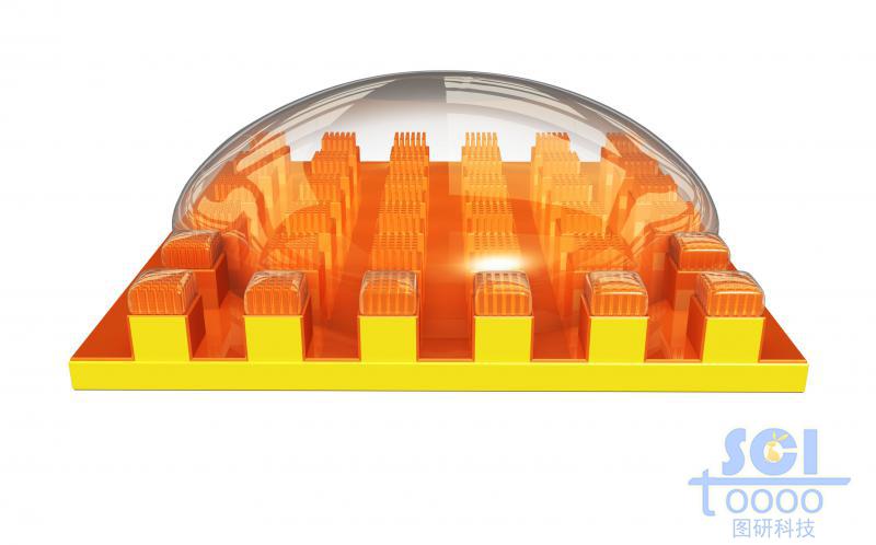 整齊排列的方向納米柱上覆蓋水膜