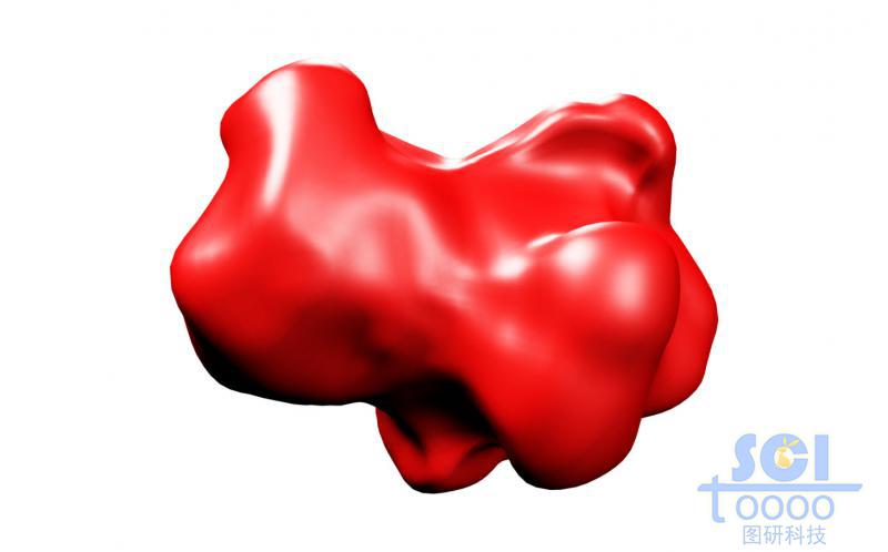 單獨(dú)蛋白結(jié)構(gòu)/示意性蛋白結(jié)構(gòu)