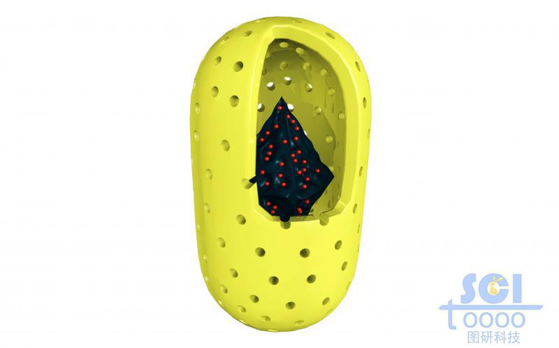 膠囊狀空心介孔納米藥物內(nèi)核中帶鑲嵌小分子/藥物結(jié)構(gòu)的八面體碳結(jié)構(gòu)