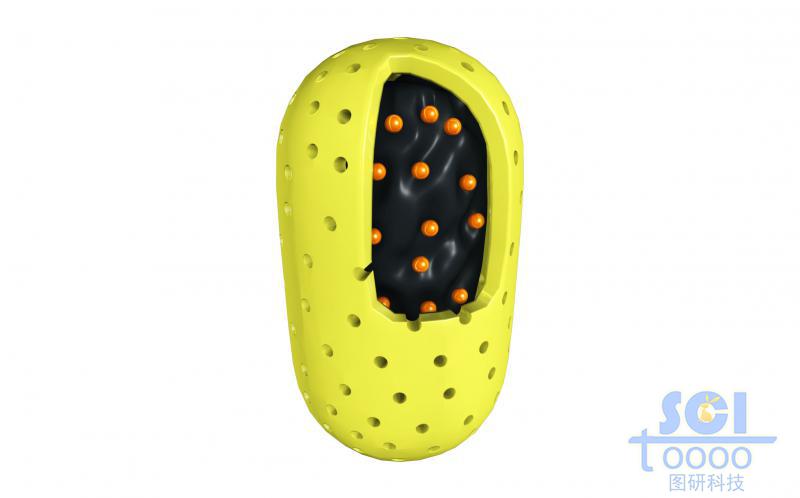 膠囊狀空心介孔納米藥物內(nèi)核中帶鑲嵌小分子/藥物結(jié)構(gòu)的碳結(jié)構(gòu)