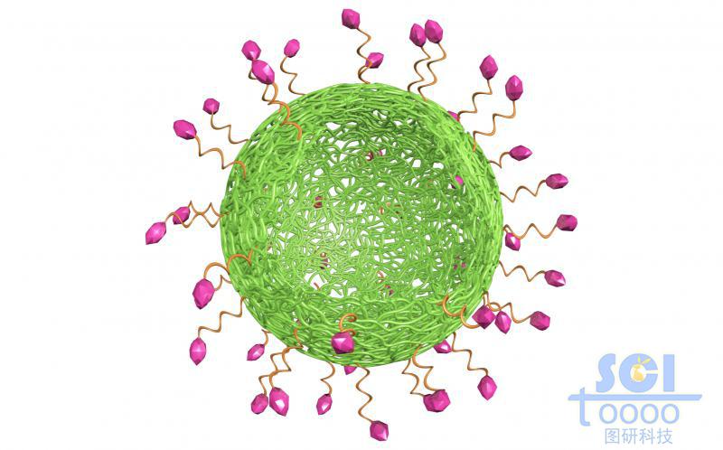 高分子鏈段纏繞形成的表面帶靶頭的籠狀空心球殼