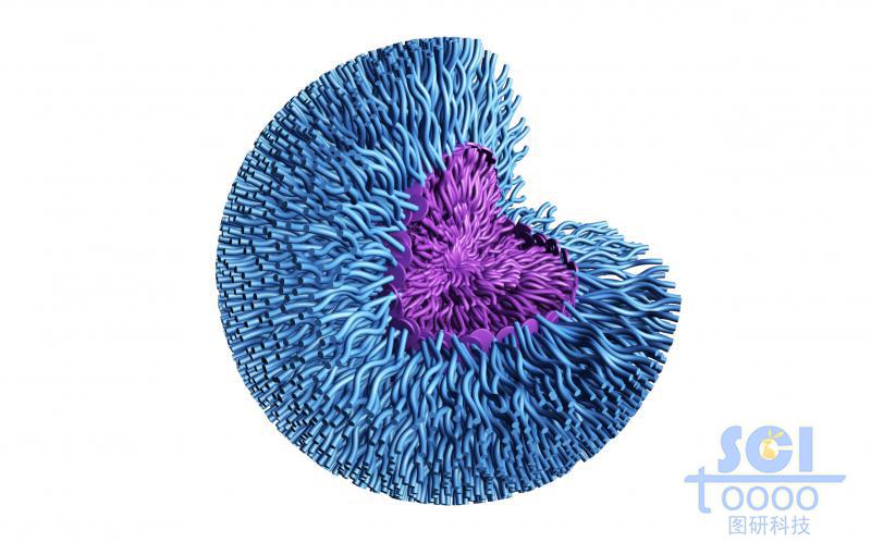 兩段式高分子鏈段向心聚合形成的四分之一切的納米藥物/納米球