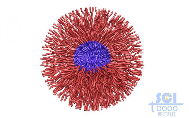 兩段式高分子鏈段向心聚合形成的四分之一切的納米藥物/納米球