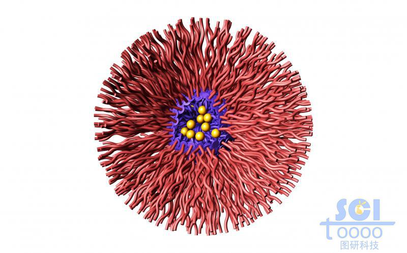 兩段式高分子鏈段向心聚合形成的四分之一切的納米藥物/納米球