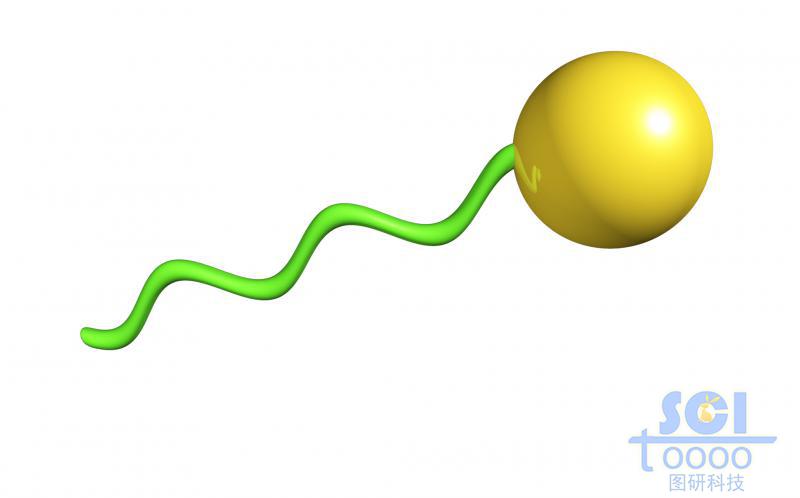高分子鏈段與靶頭/分子模式圖/單體結(jié)構(gòu)