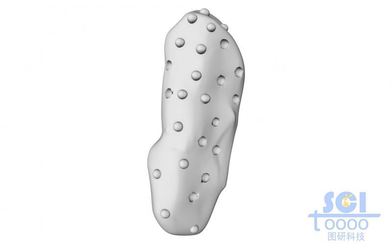 表面同時(shí)具備凸起和凹陷結(jié)構(gòu)的微納米結(jié)構(gòu)