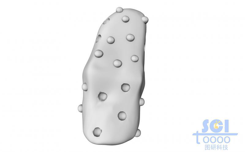 表面同時(shí)具備凸起和凹陷結(jié)構(gòu)的微納米結(jié)構(gòu)