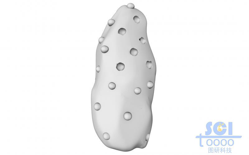 表面同時(shí)具備凸起和凹陷結(jié)構(gòu)的微納米結(jié)構(gòu)