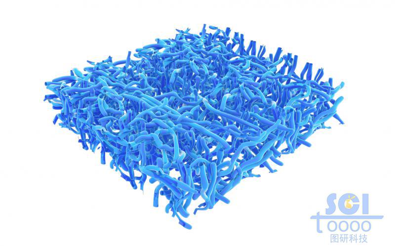 納米線段/碳納米管相互交聯(lián)形成的多孔膜/骨架