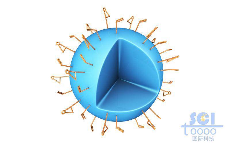 表面修飾高分子鏈段的實(shí)心納米球