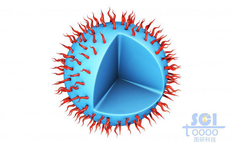 表面修飾高分子鏈段的實(shí)心納米球
