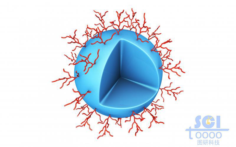 表面修飾高分子鏈段的實(shí)心納米球