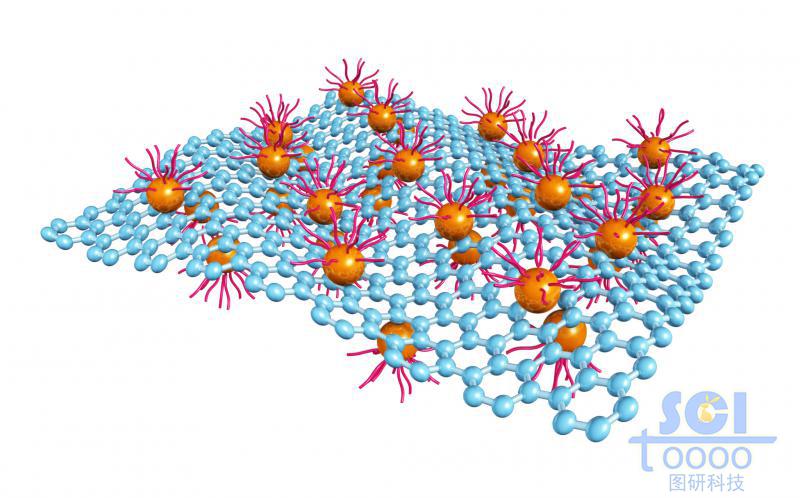 起伏的石墨烯上下表面附著高分子化合物