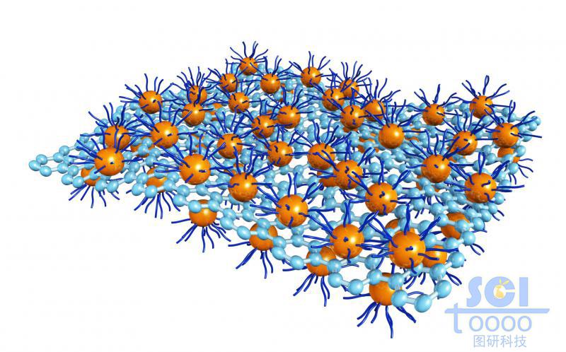 起伏的石墨烯上下表面附著高分子化合物