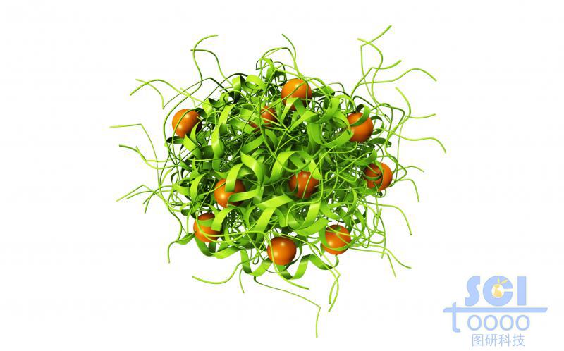 蛋白質(zhì)堆積形成的納米球外層鑲嵌小分子基團(tuán)