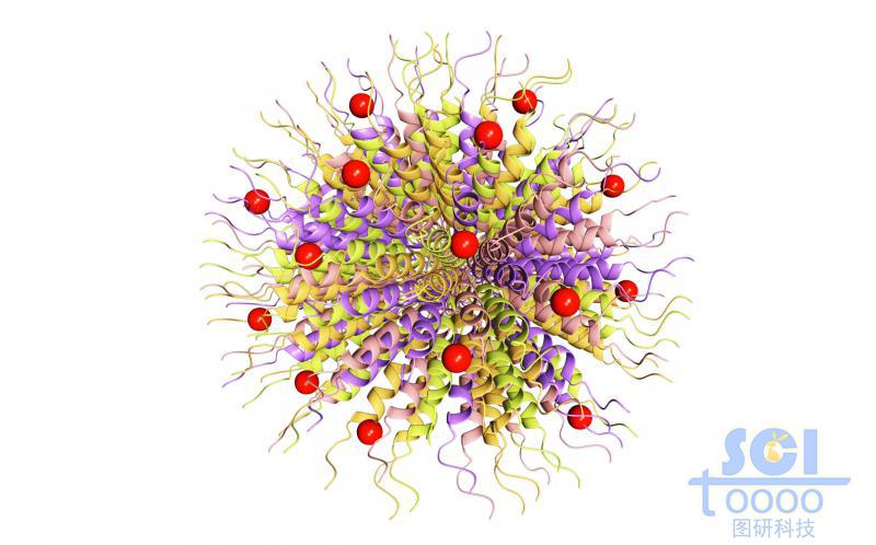 蛋白質(zhì)堆積形成的納米球外層鑲嵌小分子基團(tuán)