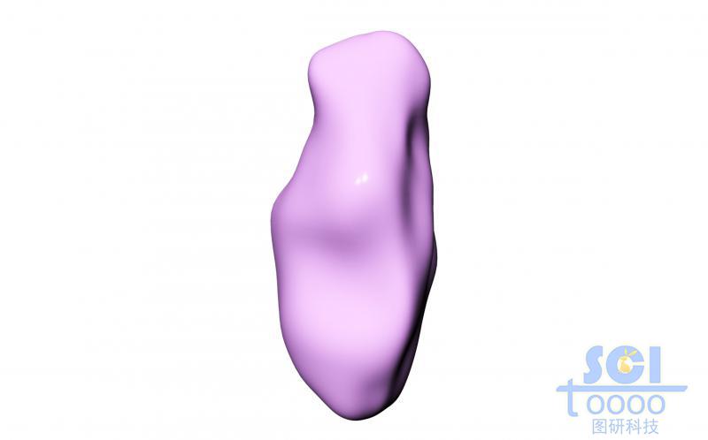 單獨(dú)蛋白結(jié)構(gòu)/示意性蛋白結(jié)構(gòu)