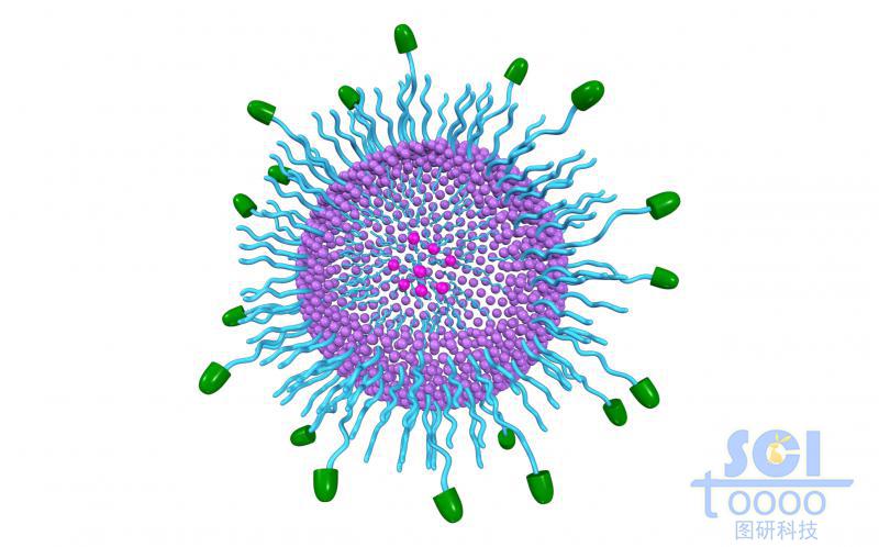 外帶靶頭的高分子鏈段聚合形成的中空的納米藥物球