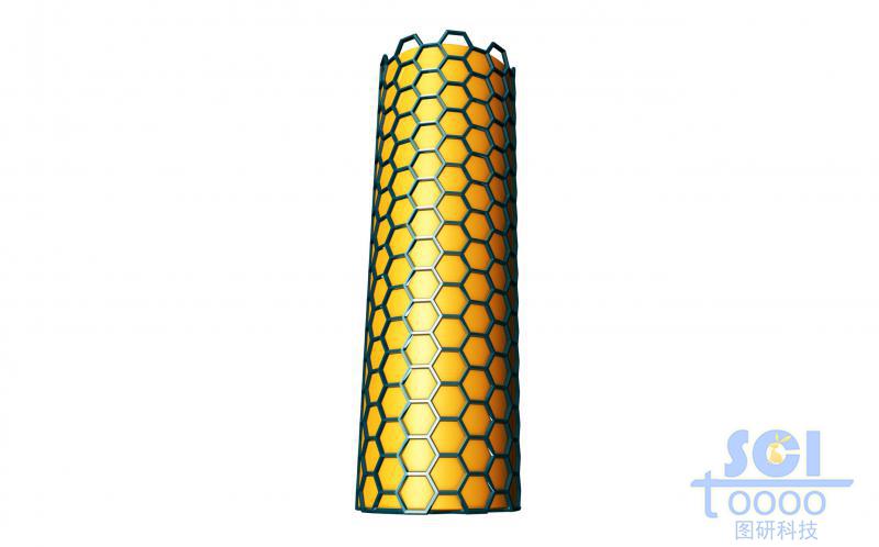 金納米探針表面包裹石墨烯結(jié)構(gòu)