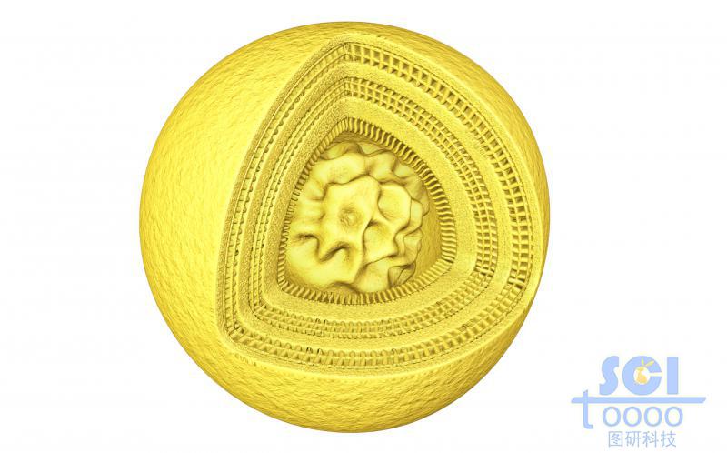 不規(guī)則內(nèi)核外部三層交聯(lián)結(jié)構(gòu)