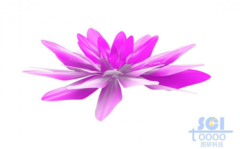 多層結構納米花