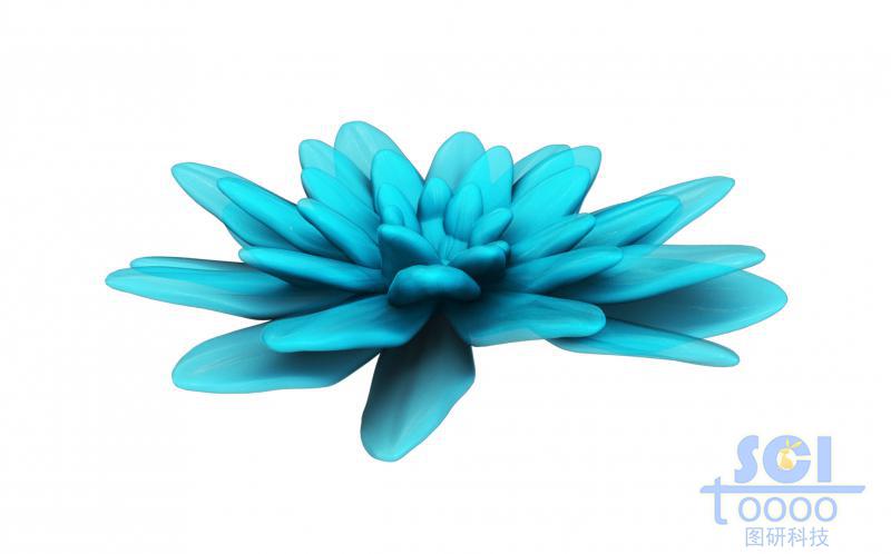 多層結構納米花