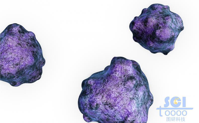 癌細(xì)胞/病毒