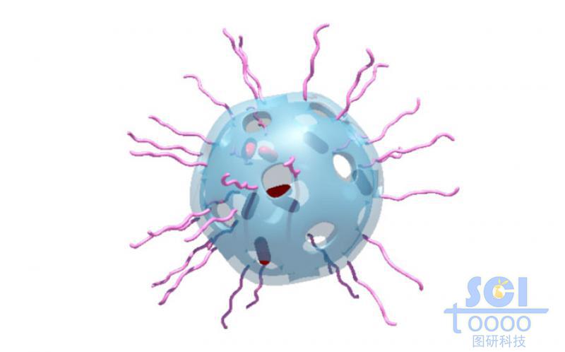 介孔硅負載DNA雙鏈和RhB