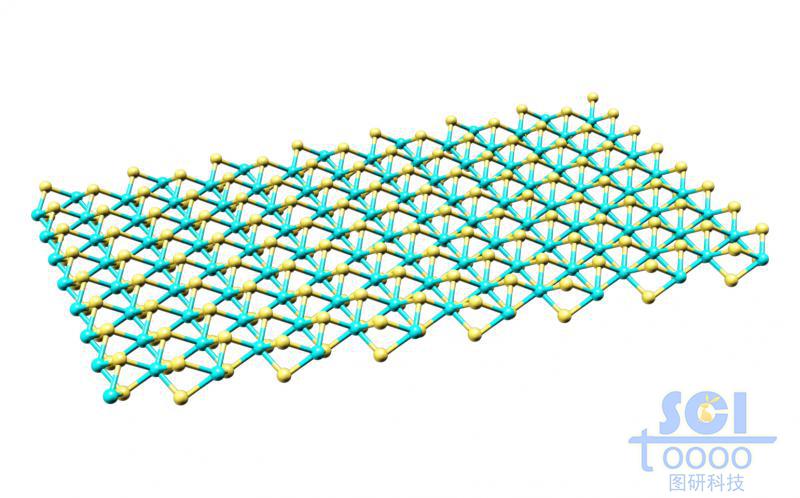 標準二硫化鉬片