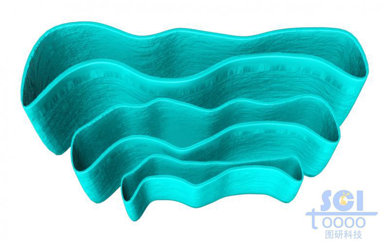 單獨的高爾基體