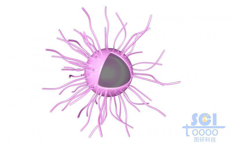 表面樹枝狀高分子鏈段的空心納米球