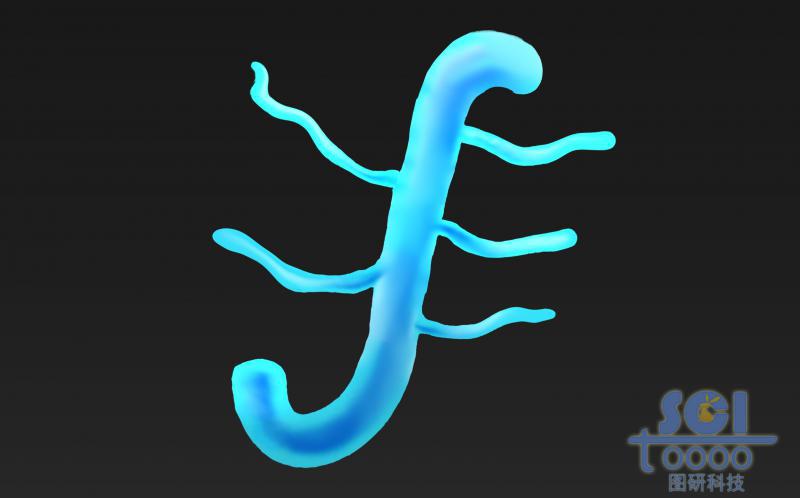 蛋白聚糖結(jié)構(gòu)