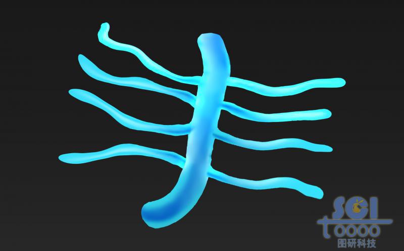 蛋白聚糖結(jié)構(gòu)