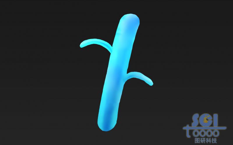 蛋白聚糖結(jié)構(gòu)