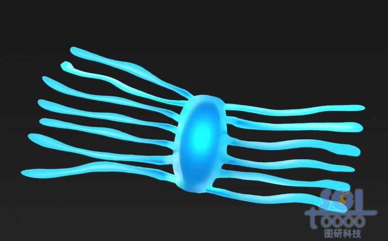 蛋白聚糖結(jié)構(gòu)