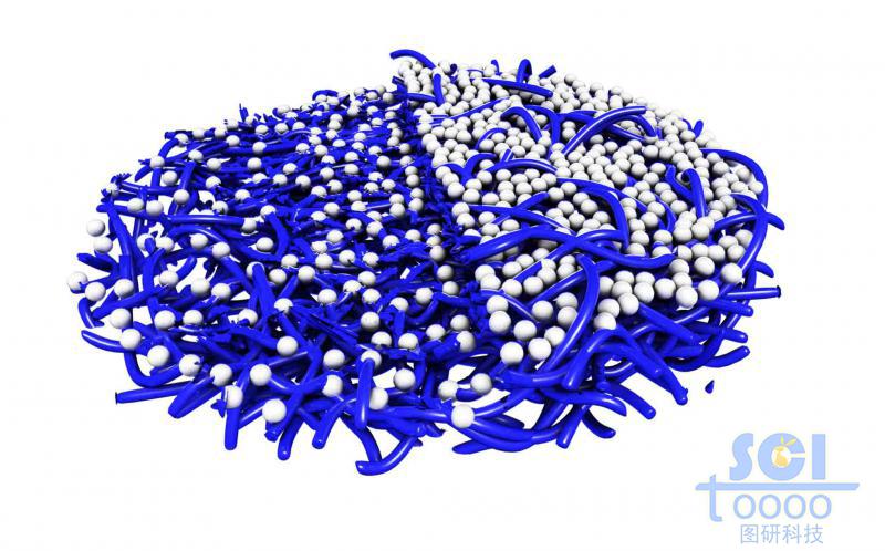 高分子鏈段堆積的圓餅狀的疏水膜