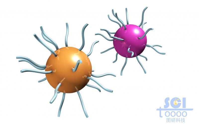 PS包覆的金納米顆粒