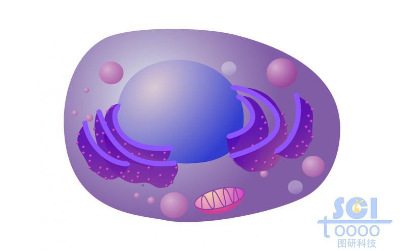 卡通風(fēng)格細胞