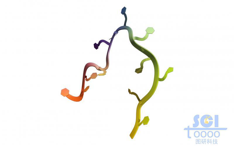 帶堿基片的單鏈RNA結(jié)構(gòu)