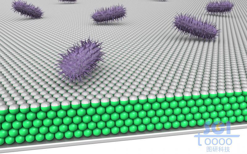 鍍銀光子晶體基底與細(xì)菌