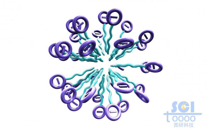 帶負(fù)電荷的高分子鏈放射狀團(tuán)聚成球