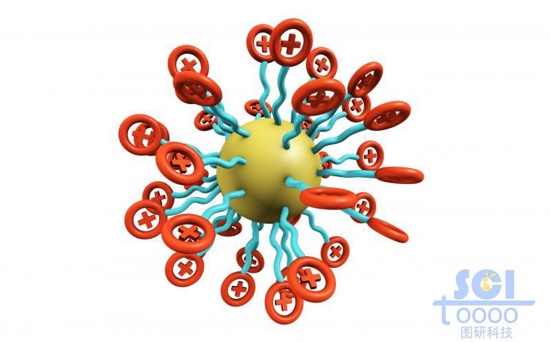 帶正+電荷的高分子鏈圍繞油滴放射狀團(tuán)聚成球