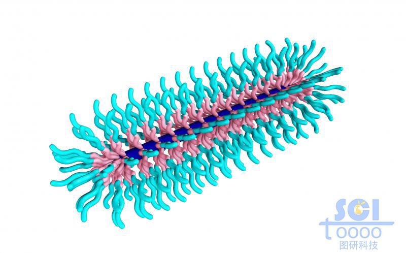 膠囊狀三段式高分子聚合結(jié)構(gòu)