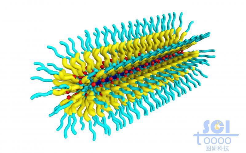 膠囊狀三段式高分子聚合結(jié)構(gòu)孔隙內(nèi)嵌納米藥物顆粒