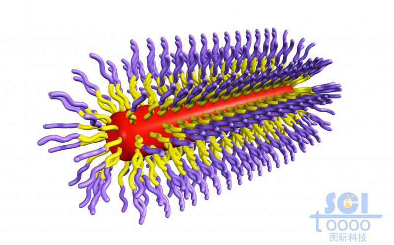 膠囊狀三段式高分子聚合結(jié)構(gòu)
