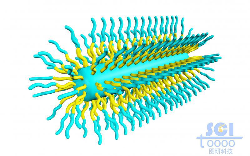 膠囊狀三段式高分子聚合結(jié)構(gòu)