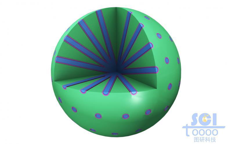 放射狀孔道的介孔球，孔道內(nèi)帶兩種有機(jī)物質(zhì)填充